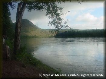 Looking up the Yukon River from Coal Mine Campground