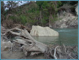 Downed Cypress trees and huge boulders make the Blanco interesting