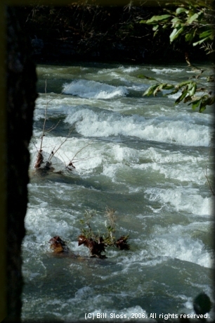 Some Upper Buffalo whitewater