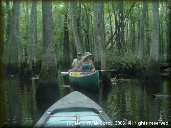 Mara and Larry taking a minute to enjoy the natural beauty of the Black Swamp