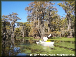 Paddling the swamps of Caddo Lake