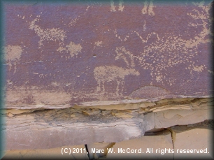 Petroglyphs at Nefertiti campsite