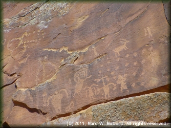 Petroglyphs on the way to Sand Wash