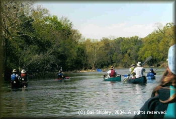 DDRC group paddling the K River in 2004