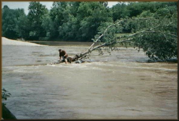Marc McCord rescueing a pinned kayak on the Illinois River, May 19, 2001, at 2,250 cfs