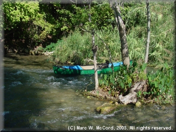A typical view of the scenic San Marcos River