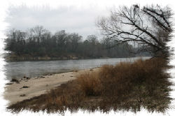 The banks of the Sabine River in winter
